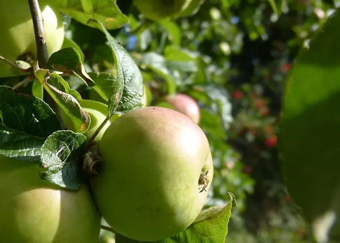 Appartement Bi Elschen *